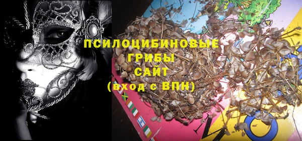 дживик Козельск
