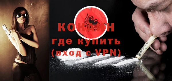 дживик Козельск