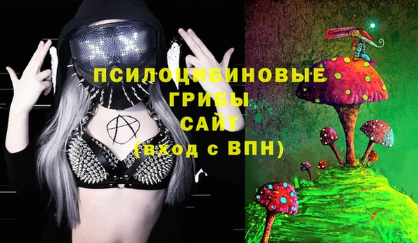 дживик Козельск