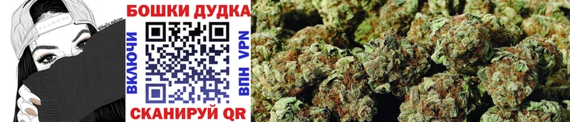 Бошки Шишки Amnesia  Купить закладки  Берёзовский 